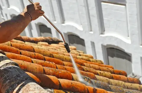 Nettoyage de toitures - Moret-Loing-et-Orvanne